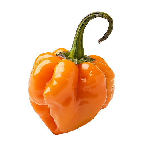 Dein Rezept mit Habanero Orange